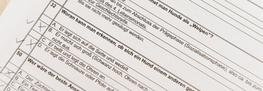 Sachkundenachweis für Hundehalter – Änderung in Bremen ab dem 1. Juli 2026